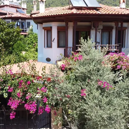 Tomsan Akyaka (Mugla)