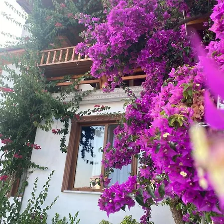 Willa Tomsan Akyaka (Mugla)