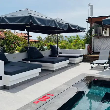 Tomsan * אקיאקה