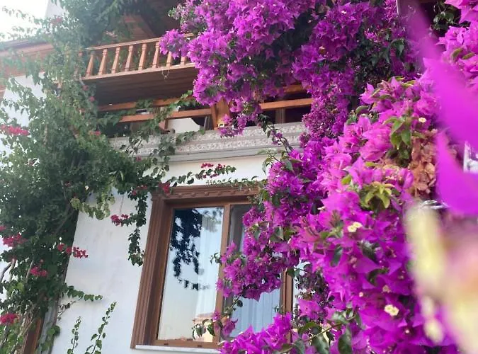 Vila Tomsan Akyaka (Mugla)