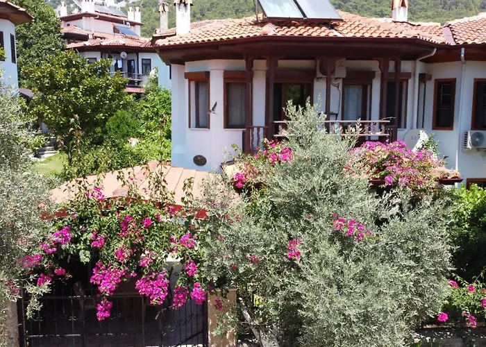 Tomsan Akyaka (Mugla)